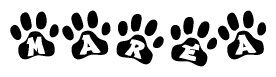 The image shows a row of animal paw prints, each containing a letter. The letters spell out the word Marea within the paw prints.