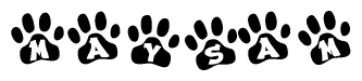 The image shows a series of animal paw prints arranged in a horizontal line. Each paw print contains a letter, and together they spell out the word Maysam.