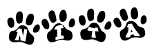 The image shows a row of animal paw prints, each containing a letter. The letters spell out the word Nita within the paw prints.