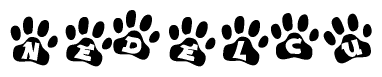 The image shows a row of animal paw prints, each containing a letter. The letters spell out the word Nedelcu within the paw prints.