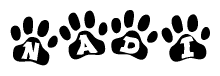 The image shows a series of animal paw prints arranged in a horizontal line. Each paw print contains a letter, and together they spell out the word Nadi.