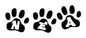 The image shows a series of animal paw prints arranged in a horizontal line. Each paw print contains a letter, and together they spell out the word Nea.