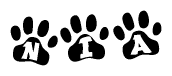 The image shows a series of animal paw prints arranged horizontally. Within each paw print, there's a letter; together they spell Nia