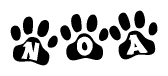 The image shows a series of animal paw prints arranged in a horizontal line. Each paw print contains a letter, and together they spell out the word Noa.