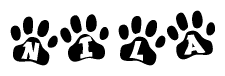 The image shows a series of animal paw prints arranged in a horizontal line. Each paw print contains a letter, and together they spell out the word Nila.