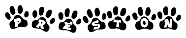 The image shows a series of animal paw prints arranged in a horizontal line. Each paw print contains a letter, and together they spell out the word Preston.