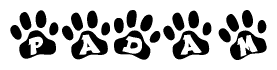 The image shows a row of animal paw prints, each containing a letter. The letters spell out the word Padam within the paw prints.