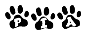 The image shows a series of animal paw prints arranged in a horizontal line. Each paw print contains a letter, and together they spell out the word Pia.