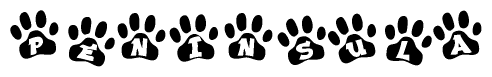 The image shows a row of animal paw prints, each containing a letter. The letters spell out the word Peninsula within the paw prints.