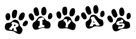 The image shows a row of animal paw prints, each containing a letter. The letters spell out the word Riyas within the paw prints.