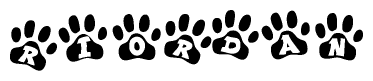 The image shows a row of animal paw prints, each containing a letter. The letters spell out the word Riordan within the paw prints.