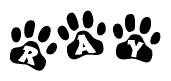 The image shows a series of animal paw prints arranged horizontally. Within each paw print, there's a letter; together they spell Ray