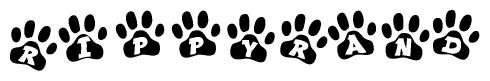 The image shows a row of animal paw prints, each containing a letter. The letters spell out the word Rippyrand within the paw prints.