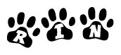 The image shows a series of animal paw prints arranged in a horizontal line. Each paw print contains a letter, and together they spell out the word Rin.