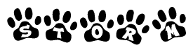 The image shows a series of animal paw prints arranged in a horizontal line. Each paw print contains a letter, and together they spell out the word Storm.