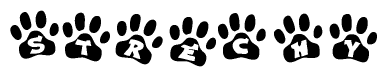 The image shows a row of animal paw prints, each containing a letter. The letters spell out the word Strechy within the paw prints.