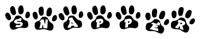 The image shows a row of animal paw prints, each containing a letter. The letters spell out the word Snapper within the paw prints.