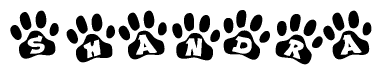 The image shows a series of animal paw prints arranged in a horizontal line. Each paw print contains a letter, and together they spell out the word Shandra.