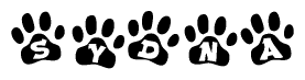 The image shows a series of animal paw prints arranged in a horizontal line. Each paw print contains a letter, and together they spell out the word Sydna.