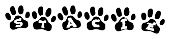 The image shows a series of animal paw prints arranged horizontally. Within each paw print, there's a letter; together they spell Stacie