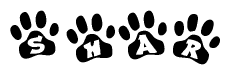 The image shows a row of animal paw prints, each containing a letter. The letters spell out the word Shar within the paw prints.