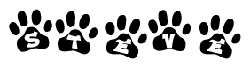 The image shows a row of animal paw prints, each containing a letter. The letters spell out the word Steve within the paw prints.