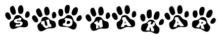 The image shows a series of animal paw prints arranged in a horizontal line. Each paw print contains a letter, and together they spell out the word Sudhakar.