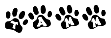 The image shows a series of animal paw prints arranged horizontally. Within each paw print, there's a letter; together they spell Tamm