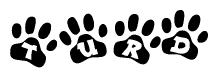 The image shows a series of animal paw prints arranged in a horizontal line. Each paw print contains a letter, and together they spell out the word Turd.