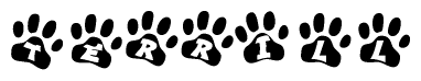 The image shows a series of animal paw prints arranged horizontally. Within each paw print, there's a letter; together they spell Terrill