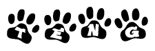 The image shows a series of animal paw prints arranged in a horizontal line. Each paw print contains a letter, and together they spell out the word Teng.