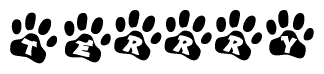 The image shows a series of animal paw prints arranged in a horizontal line. Each paw print contains a letter, and together they spell out the word Terrry.