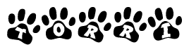 The image shows a series of animal paw prints arranged in a horizontal line. Each paw print contains a letter, and together they spell out the word Torri.