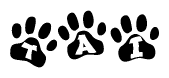 The image shows a series of animal paw prints arranged horizontally. Within each paw print, there's a letter; together they spell Tai