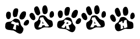 The image shows a series of animal paw prints arranged in a horizontal line. Each paw print contains a letter, and together they spell out the word Tarah.