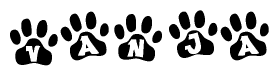 The image shows a series of animal paw prints arranged in a horizontal line. Each paw print contains a letter, and together they spell out the word Vanja.