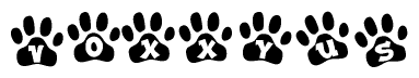 The image shows a series of animal paw prints arranged horizontally. Within each paw print, there's a letter; together they spell Voxxyus