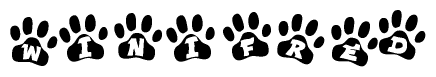 The image shows a series of animal paw prints arranged in a horizontal line. Each paw print contains a letter, and together they spell out the word Winifred.