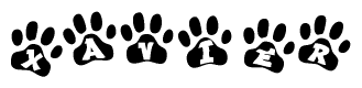 The image shows a series of animal paw prints arranged in a horizontal line. Each paw print contains a letter, and together they spell out the word Xavier.