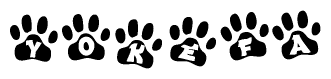 The image shows a series of animal paw prints arranged in a horizontal line. Each paw print contains a letter, and together they spell out the word Yokefa.