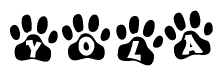 The image shows a row of animal paw prints, each containing a letter. The letters spell out the word Yola within the paw prints.