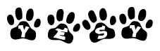 The image shows a series of animal paw prints arranged in a horizontal line. Each paw print contains a letter, and together they spell out the word Yesy.