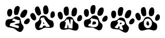 The image shows a series of animal paw prints arranged horizontally. Within each paw print, there's a letter; together they spell Zandro