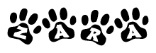 The image shows a series of animal paw prints arranged horizontally. Within each paw print, there's a letter; together they spell Zara