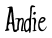 The image is of the word Andie stylized in a cursive script.