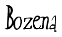 The image is a stylized text or script that reads 'Bozena' in a cursive or calligraphic font.