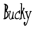 The image is of the word Bucky stylized in a cursive script.