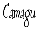 The image is a stylized text or script that reads 'Camagu' in a cursive or calligraphic font.