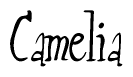 The image contains the word 'Camelia' written in a cursive, stylized font.