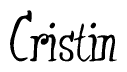The image is a stylized text or script that reads 'Cristin' in a cursive or calligraphic font.